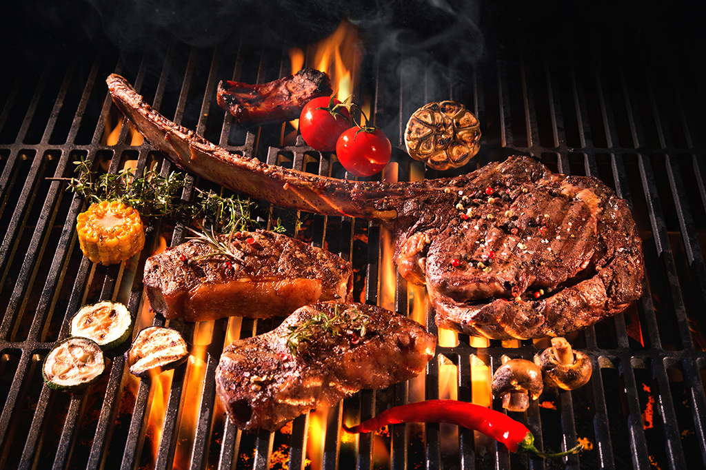 Churrasqueira Nova Grelha